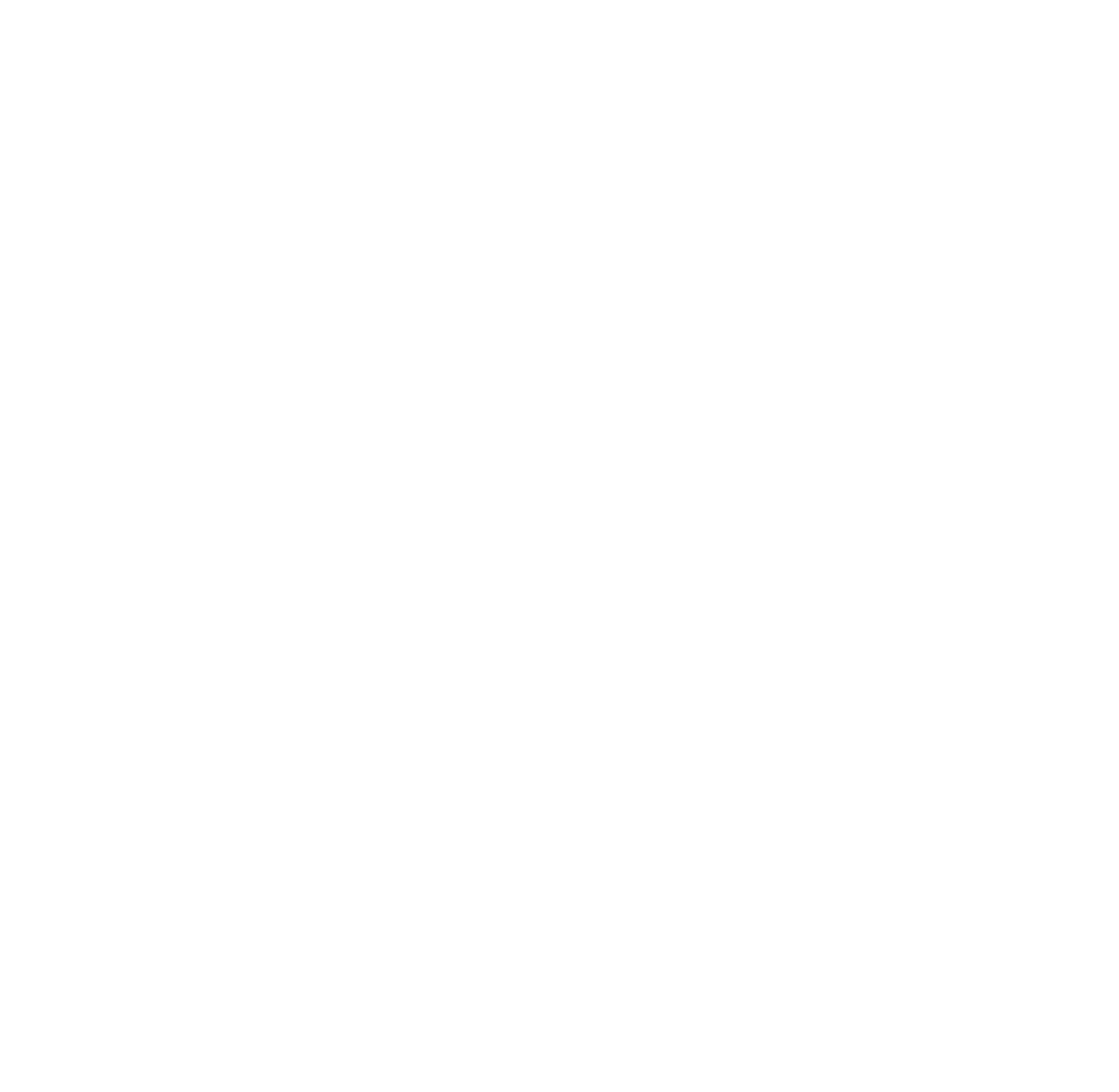 Consultation Icon